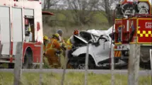 An image of Danny Frawley Car Accident