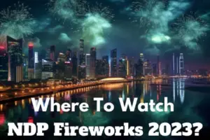 Where to Watch NDP Fireworks 2023?
