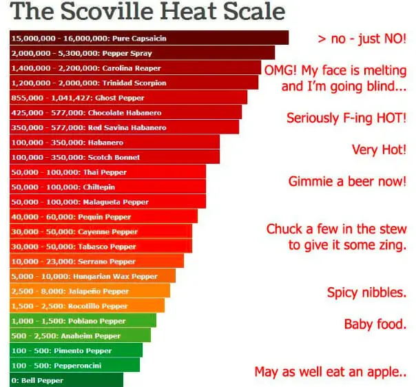 Scoville Scale: Measuring the Heat of Spicy Sensations.