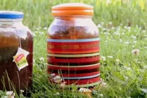 A Photo Of Suntea