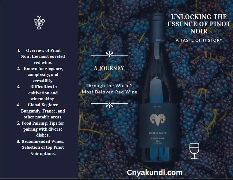  An infographic titled "Unlocking the Essence of Pinot Noir" featuring key information about the world's most beloved red wine.