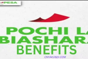 Pochi La Biashara Benefits